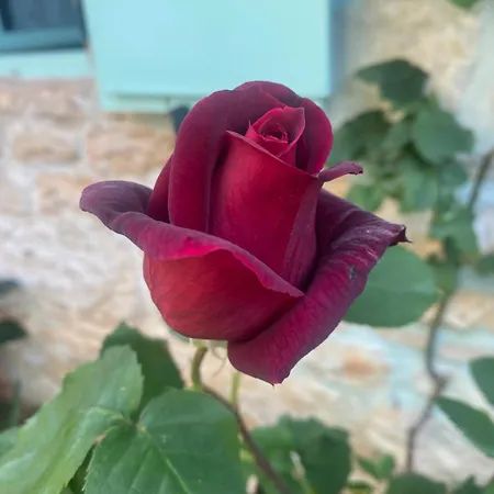 Domos Selene Casa Delle Fate Дом отдыха Tinjan