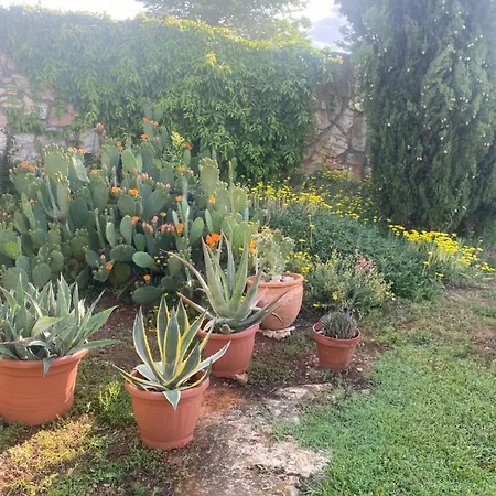 Domos Selene Casa Delle Fate Holiday home Tinjan