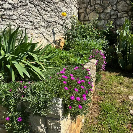 Holiday home Domos Selene Casa Delle Fate *