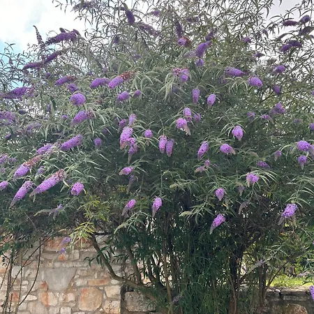 Holiday home Domos Selene Casa Delle Fate
